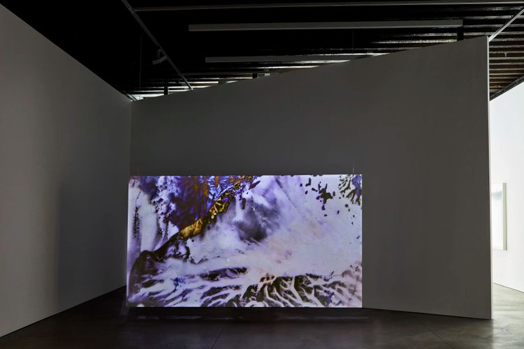Installation view, On an Overgrown Path, Marian Goodman, New York · 2026 (7)