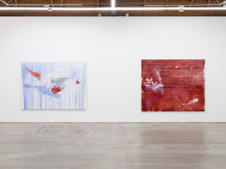 Installation view, Aragonite and conchiolin, Château Shatto · 2026 (1)