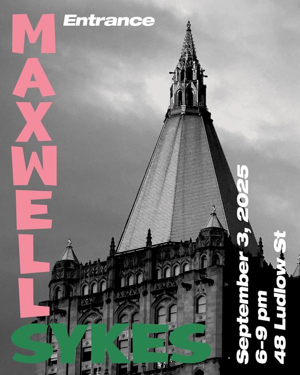 Installation view, Maxwell Sykes, Entrance Gallery, Lower East Side
