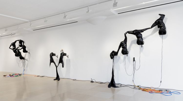 Installation view, Automa Mon Amour, Greene Naftali · 2026 (4)