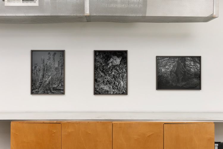 Installation view, Low Tide, Gallery Luisotti · 2026 (9)