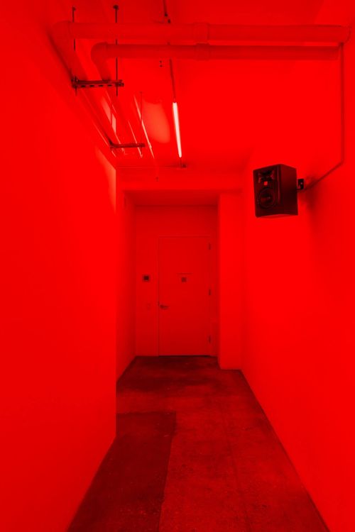 Installation view, Dweller, The Swiss Institute · 2026 (5)