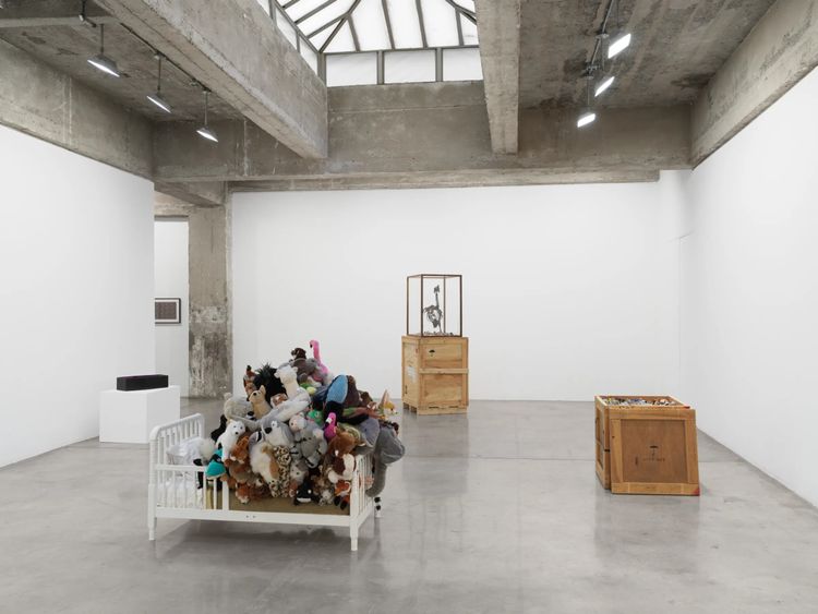 Installation view, Mark Dion, Tanya Bonakdar Gallery, New York · 2026 (5)