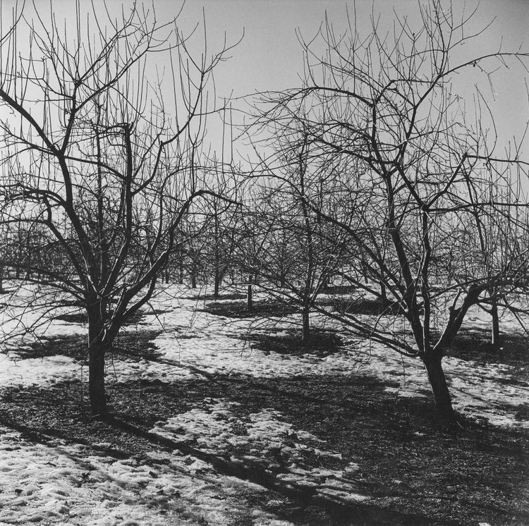 Installation view, The Gracie Mansion Show, Ortuzar · 2026 (21)