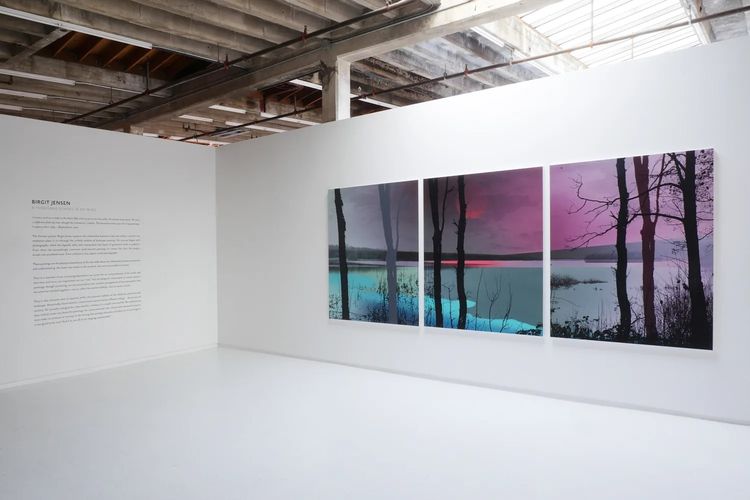 Installation view, A Thousand Echoes in My Mind, Hosfelt Gallery · 2025 (8)