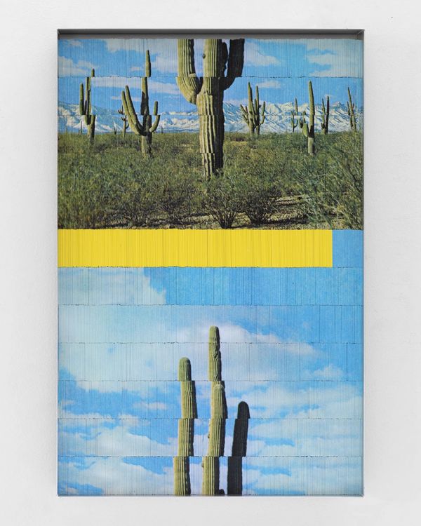Installation view, Case Studies, Marshall Gallery · 2026 (3)