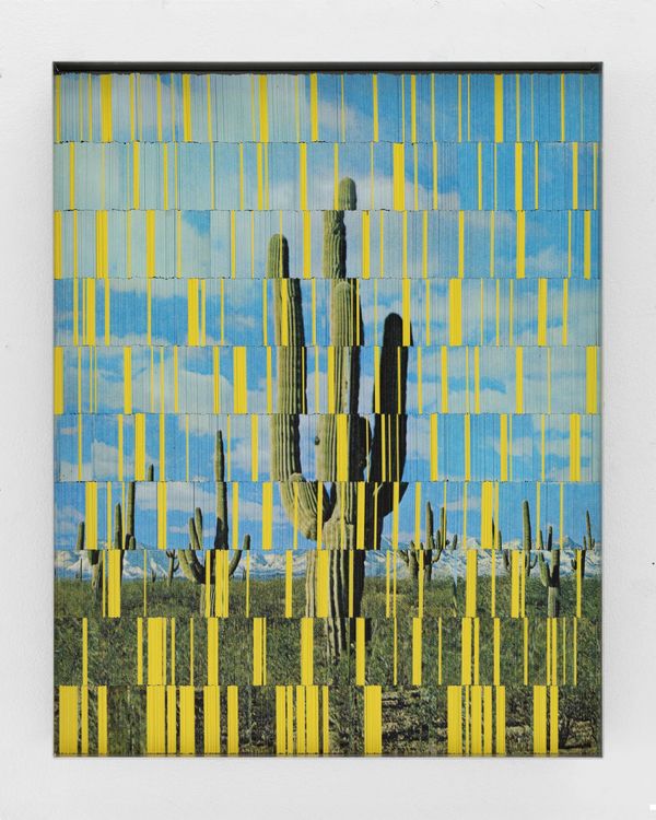 Installation view, Case Studies, Marshall Gallery · 2026 (15)