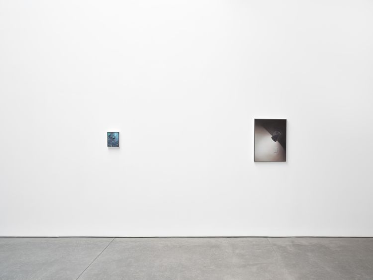 Installation view, Dike Blair, Karma, 549 West 26th Street · 2026 (6)