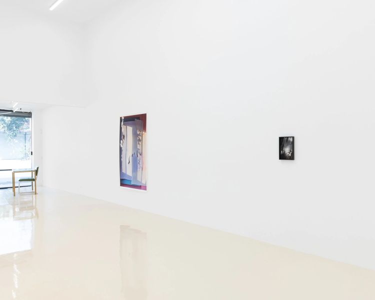 Installation view, I Capture the Castle, Chris Sharp · 2025 (2)