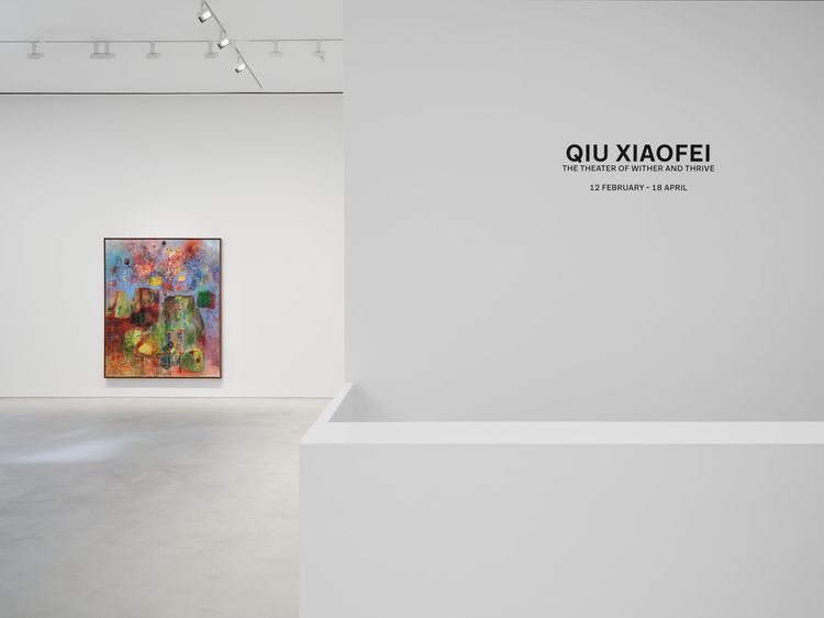 Installation view, The Theater of Wither and Thrive, Hauser & Wirth · 2026 (1)