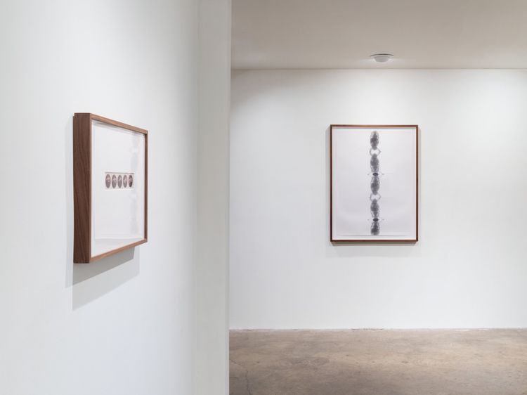 Installation view, x-ray island, Moskowitz Bayse · 2026 (4)