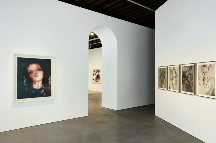 Installation view, On an Overgrown Path, Marian Goodman, New York · 2026 (5)