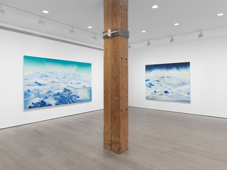 Installation view, Lost Horizon, Miles McEnery, 525 W 22nd Street · 2026 (1)