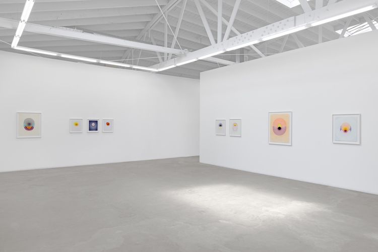 Installation view, The Drops, Luis De Jesus Los Angeles · 2026 (1)