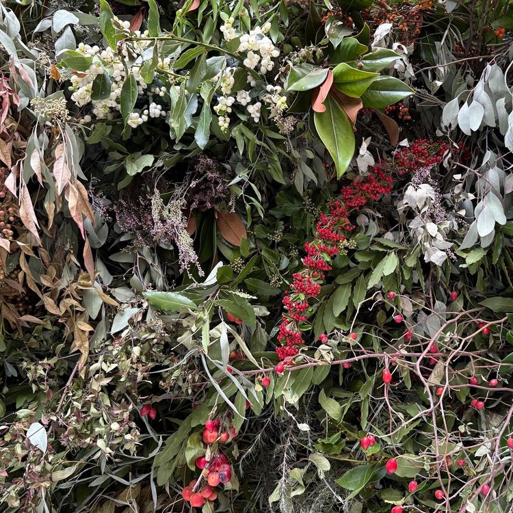 Installation view, Thicket, Paula Cooper, 521 W 21st Street
