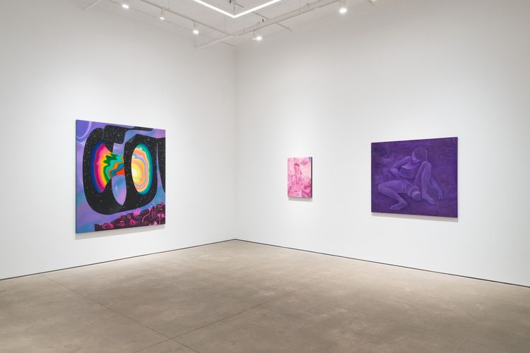 Installation view, Paintings Made for Aliens Above, PPOW, 392 Broadway · 2025 (6)