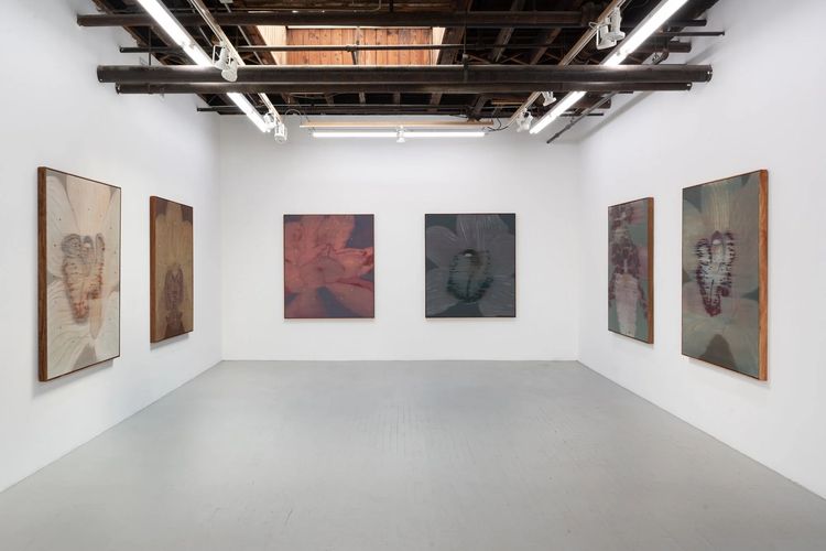 Installation view, Mineral Meridian, Carvalho, 112 Waterbury · 2026 (6)