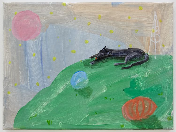 Installation view, Cosmic Zoo, Monya Rowe · 2025 (8)