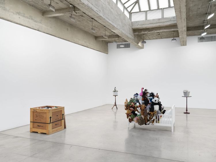 Installation view, Mark Dion, Tanya Bonakdar Gallery, New York · 2026 (6)