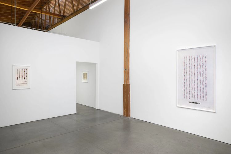 Installation view, Evolving Systems, François Ghebaly · 2025 (9)