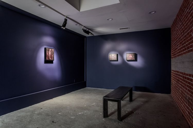Installation view, The Being, Jeffrey Deitch, West Hollywood · 2026 (6)