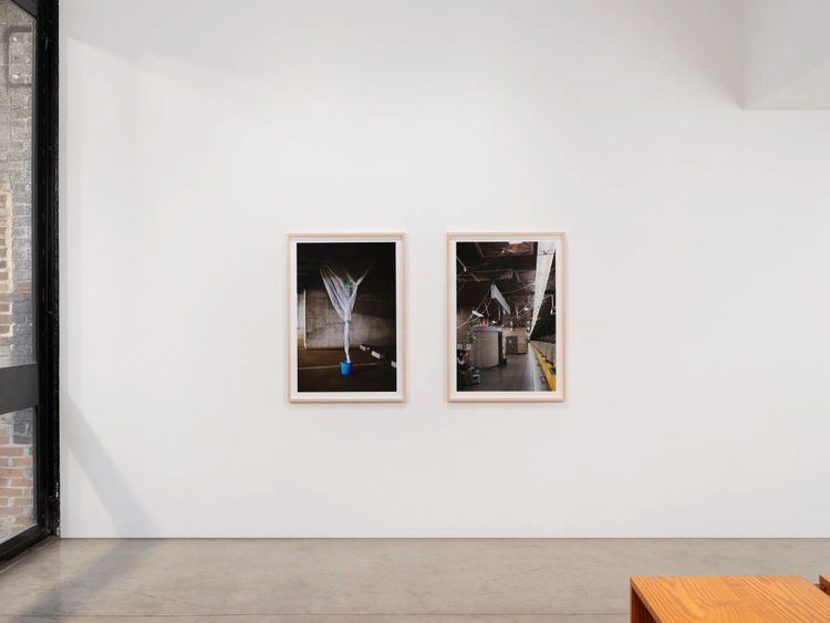 Installation view, Falling Water Given, Tanya Bonakdar Gallery, New York · 2026 (1)