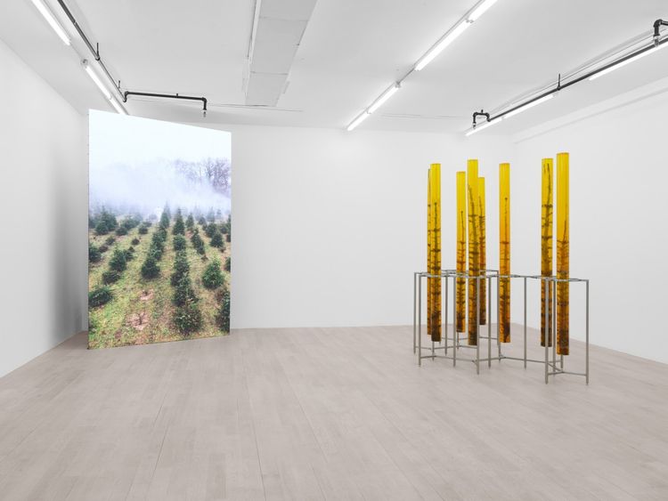 Installation view, Außerkörperliche Erfahrung: Wandering Spirit, Management · 2026 (4)