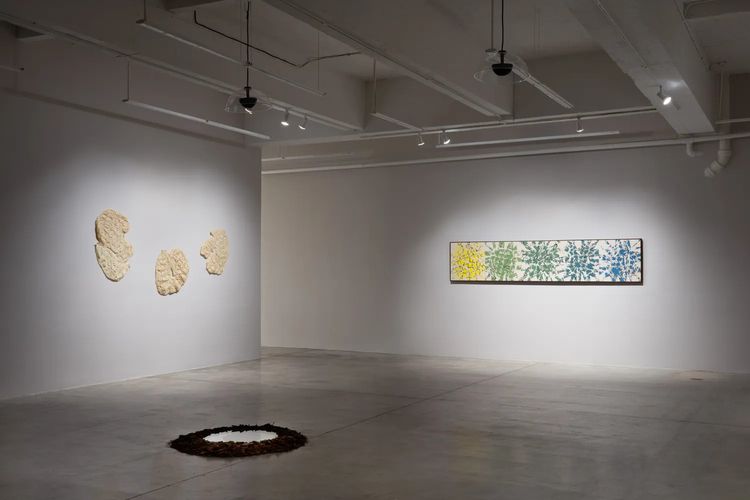Installation view, Double Vision, Tina Kim Gallery