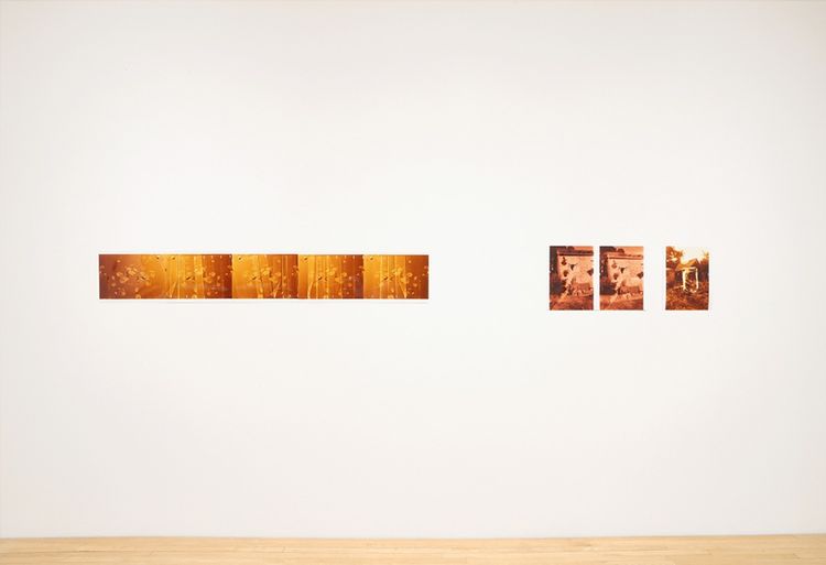 Installation view, Here Comes the Sun, Kerry Schuss Gallery · 2026 (1)