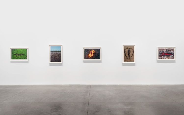 Installation view, Back to the Source, Marian Goodman, New York · 2025 (1)