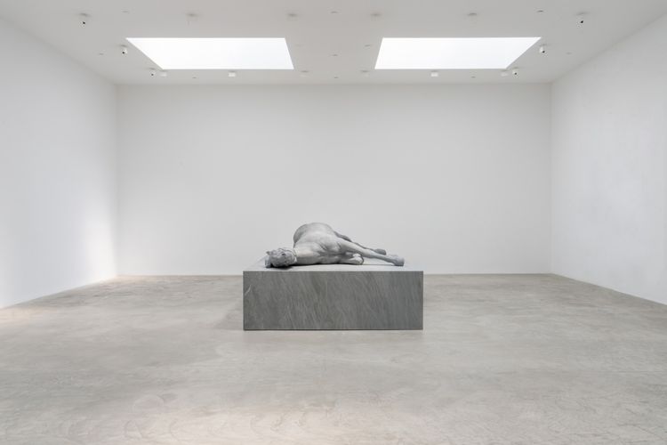 Installation view, Charles Ray, Matthew Marks Gallery · 2026 (1)