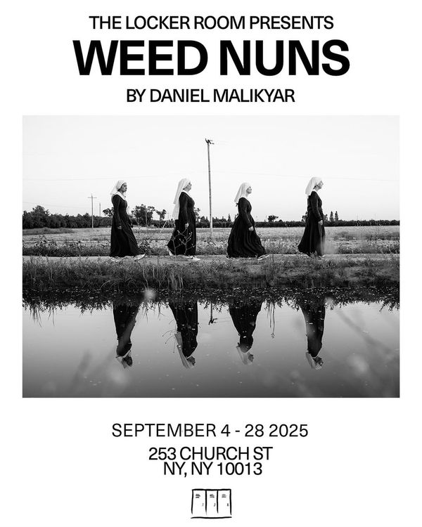 Installation view, Weed Nuns, The Locker Room