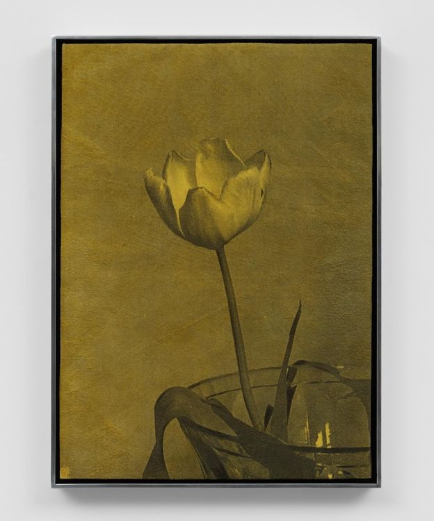 Installation view, Sans Soleil, Overduin & Co. · 2025 (2)