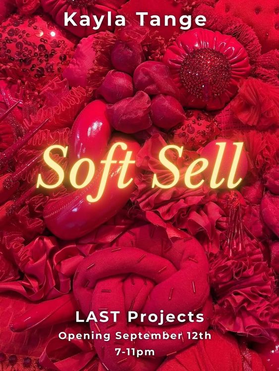 Installation view, Soft Sell, LAST Projects