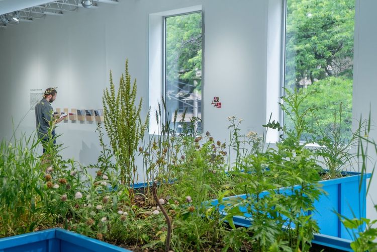 Installation view, The Singer Pavilion Project, Hyde Park Art Center · 2026 (7)