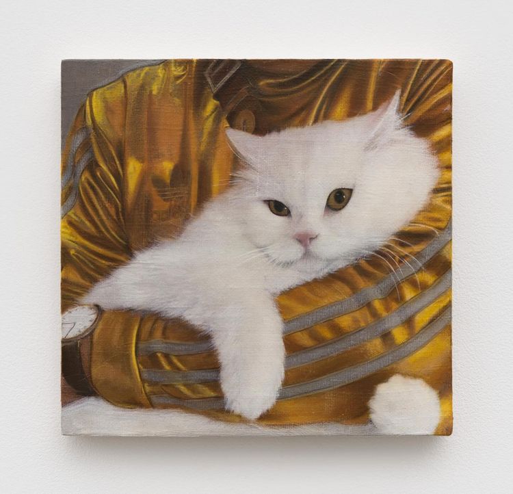 Installation view, Joseph Jones, Chapter