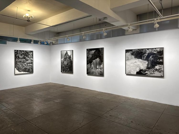 Installation view, Low Tide, Gallery Luisotti · 2026 (11)