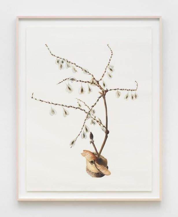 Installation view, I wish dying could be more like this. 但愿死像这样。, 56 Henry, 105 Henry Street · 2026 (7)