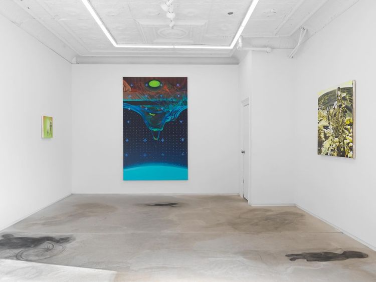 Installation view, I wish dying could be more like this. 但愿死像这样。, 56 Henry, 105 Henry Street · 2026 (4)