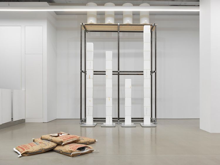 Installation view, Sweat Models 1991-2026, Space ZeroOne · 2026 (3)