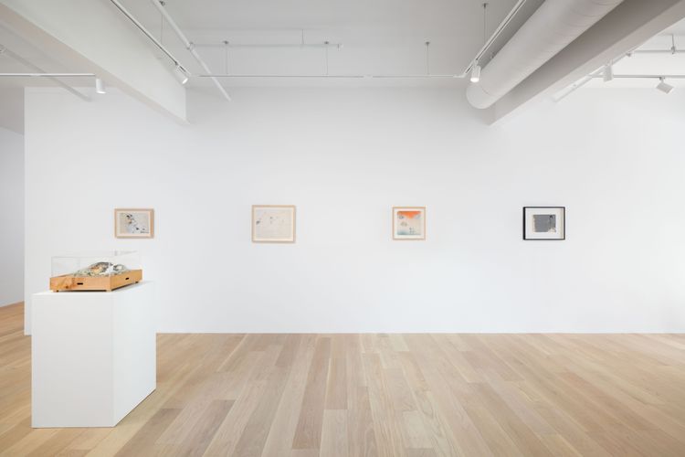 Installation view, Deep Fake, Hoffman Donahue · 2026 (6)