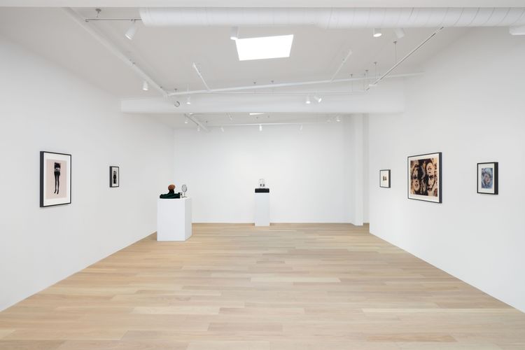 Installation view, Deep Fake, Hoffman Donahue · 2026 (5)