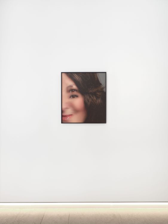 Installation view, Deep Fake, Hoffman Donahue · 2026 (14)