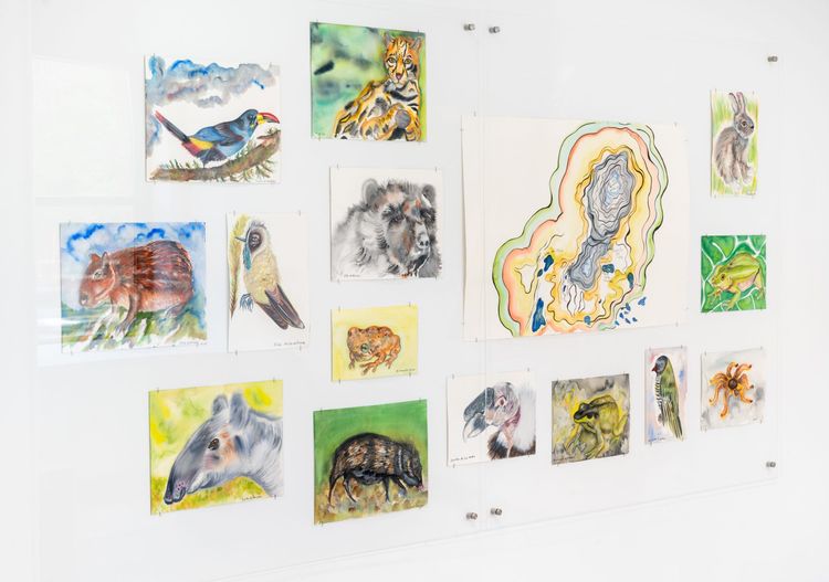 Installation view, My Mother Mountain, UIC Gallery 400 · 2026 (26)