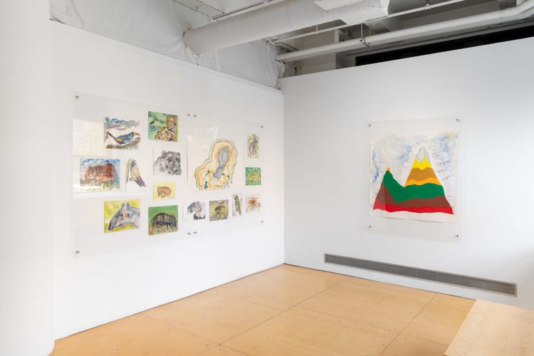 Installation view, My Mother Mountain, UIC Gallery 400 · 2026 (23)