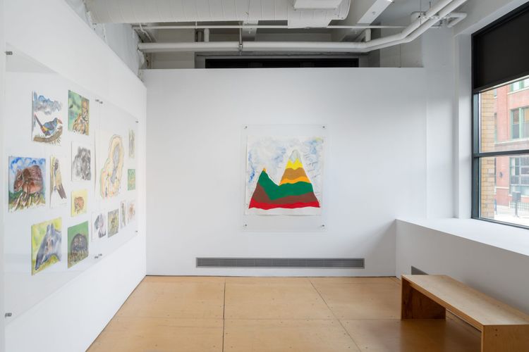 Installation view, My Mother Mountain, UIC Gallery 400 · 2026 (24)