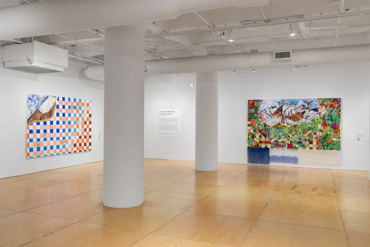 Installation view, My Mother Mountain, UIC Gallery 400 · 2026 (9)