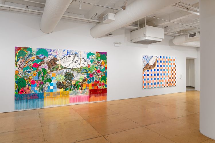 Installation view, My Mother Mountain, UIC Gallery 400 · 2026 (2)