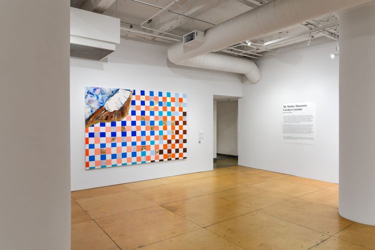 Installation view, My Mother Mountain, UIC Gallery 400 · 2026 (8)