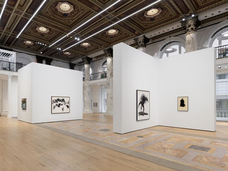 Installation view, Many A Moonlit Caveat, Jack Shainman Gallery, Tribeca · 2026 (5)